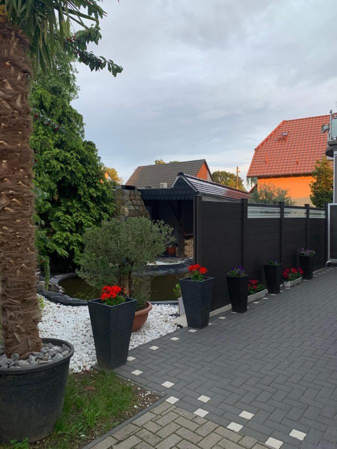 Sam - Gasthaus.md